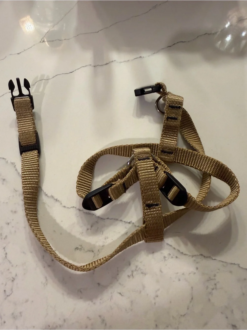 Premium Paw Gear Tan Adjustable Dog Harness/Collar Combo - Like New